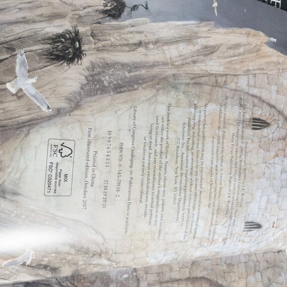 Harry Potter Books 1-3 Illustrated First Editions Jim Kay Bundle - Picture 8 of 14